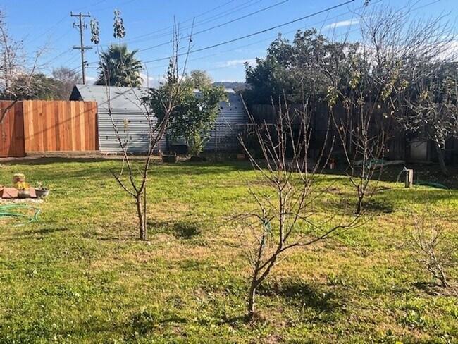 Building Photo - Charming Home with Expansive Yard, Fruit Trees & RV Parking