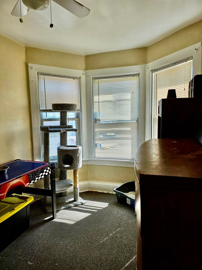 Building Photo - 362 Washington Ave