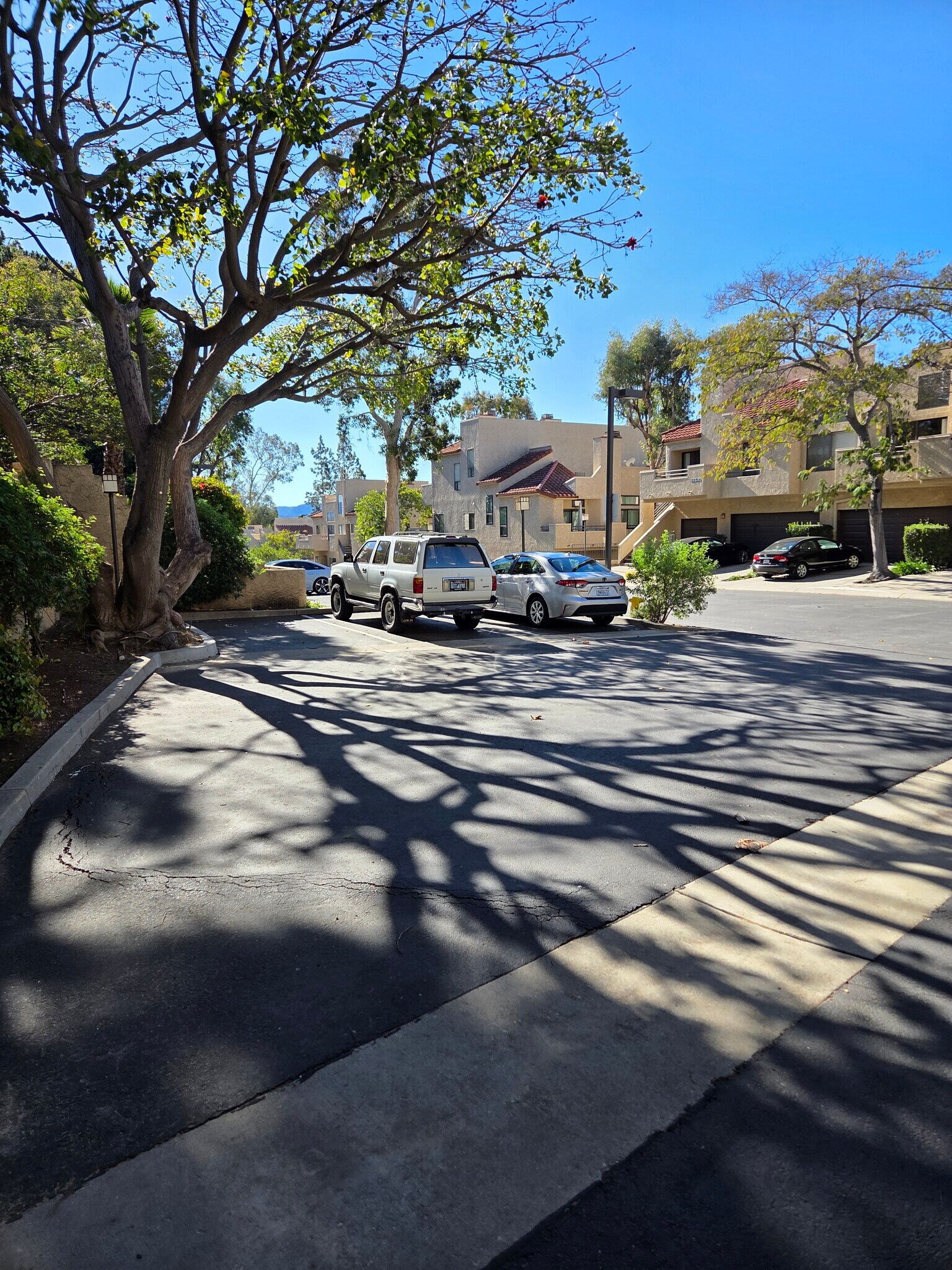 Building Photo - 187 McAfee Ct