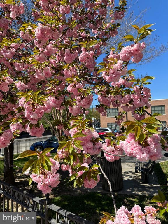 Building Photo - 522 21st St NW