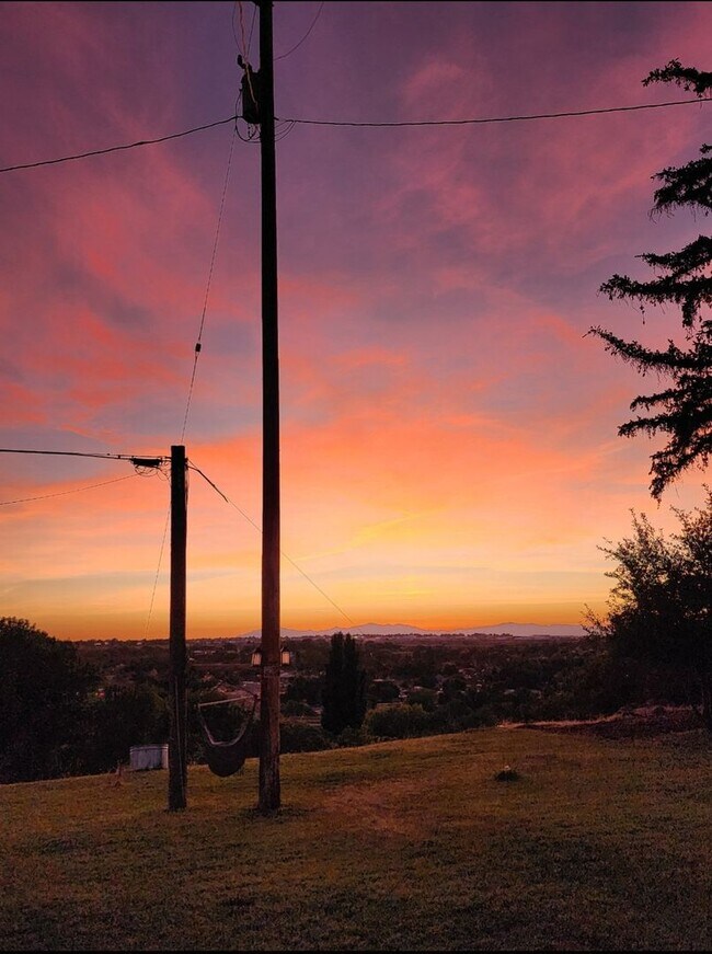 Building Photo - Beautifully updated duplex with parking and a storage shed