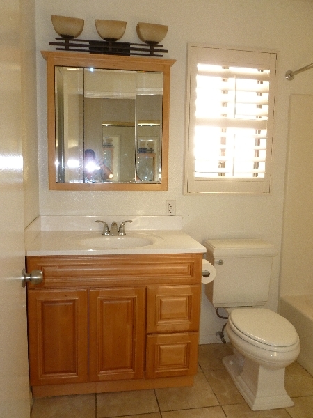 downstairs bathroom - 4748 W 170th St