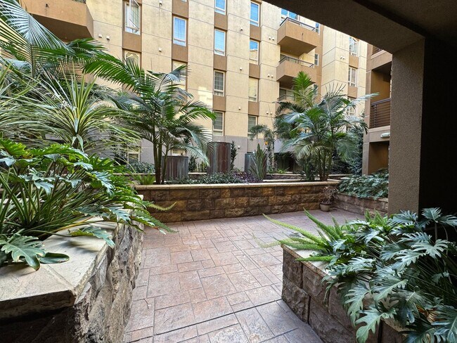 Building Photo - 3 Bedroom 2 Bathroom down town San Diego