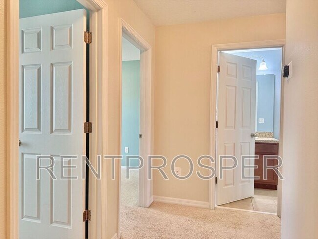 Building Photo - 4881 Matteo Trail