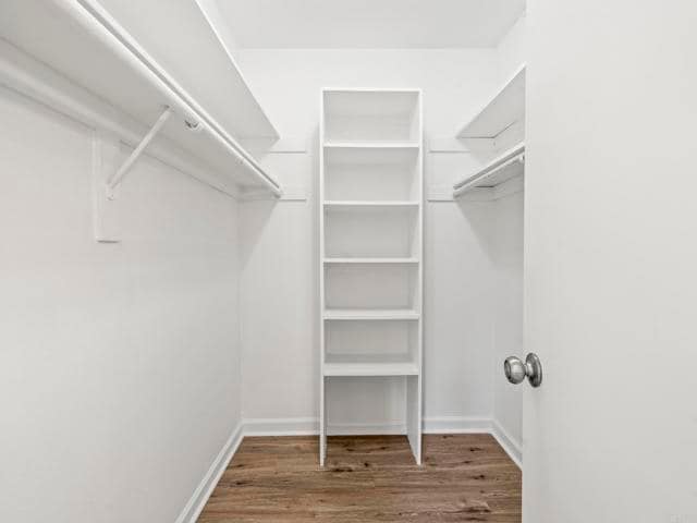 Building Photo - 2639 Pirineos Way