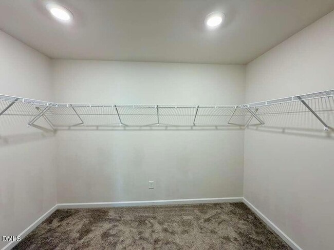 Building Photo - 1152 Chestnut Bluff Run