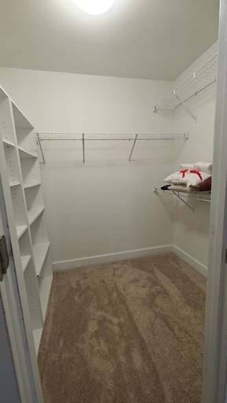 Building Photo - 5306 Missionary Wy