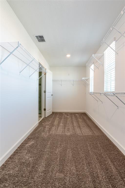 Building Photo - 12018 Grammar Ln