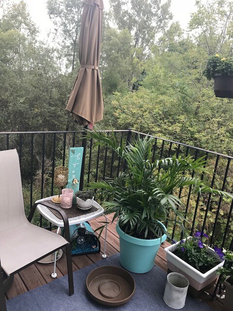 Building Photo - 2149 Knotty Pine Tr