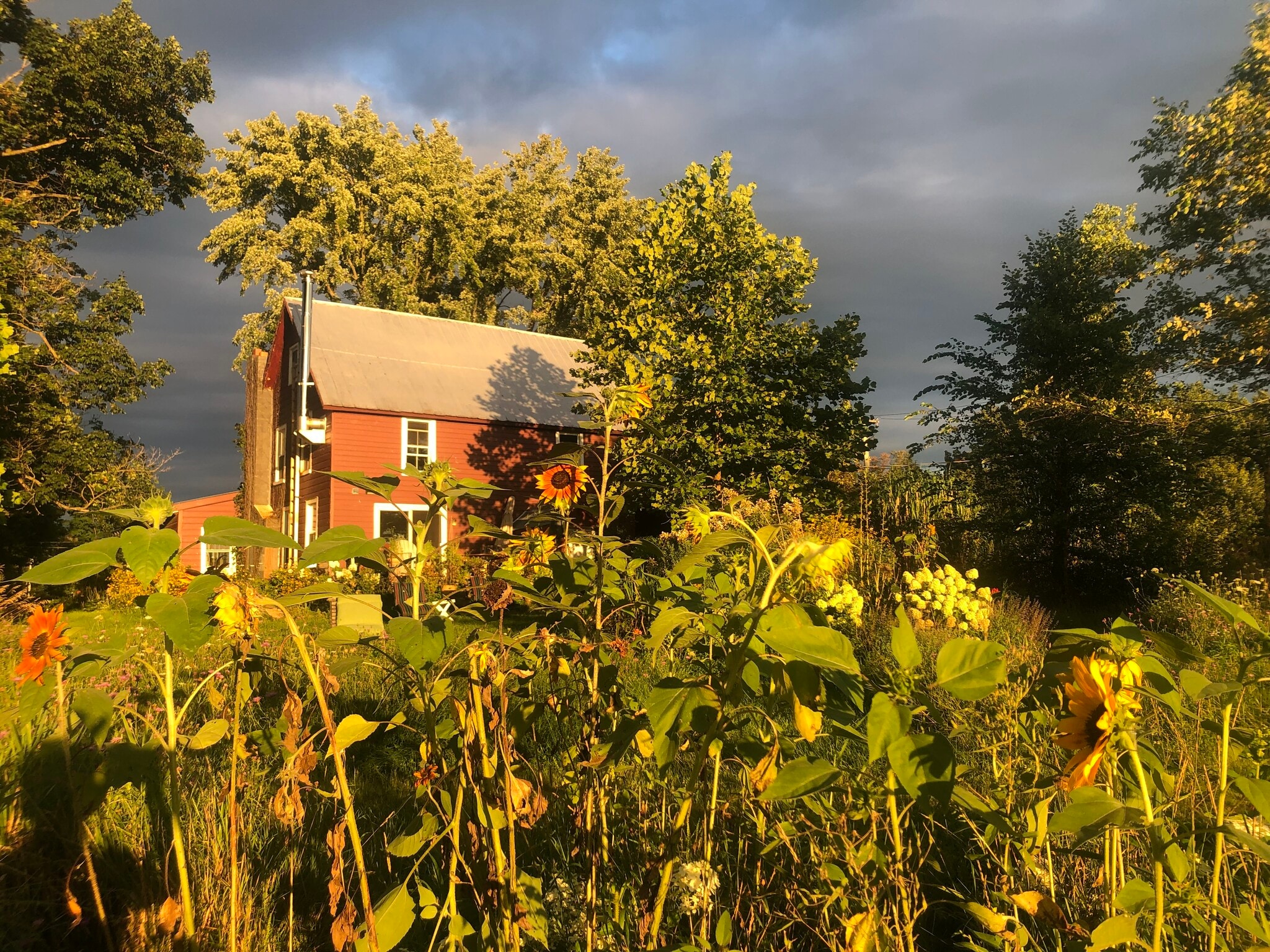 Farmhouse - 388 Eichybush Rd