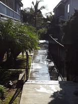Building Photo - 10726 Orange Grove