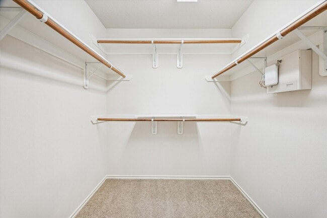 Building Photo - 3206 Pearl Bluff Ln