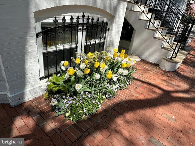 Building Photo - 522 21st St NW