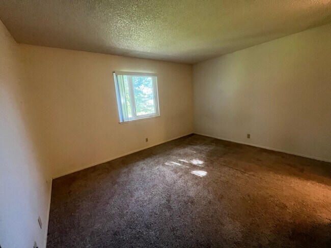 Building Photo - 2 Bedroom and 2 Bathroom South Reno