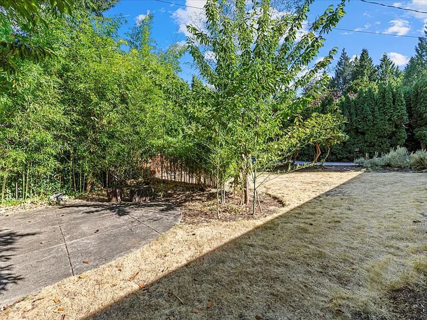 Building Photo - Bellevue Home
