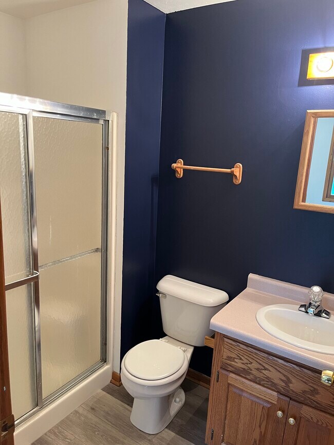 Master bathroom - 7734 W Stevenson St