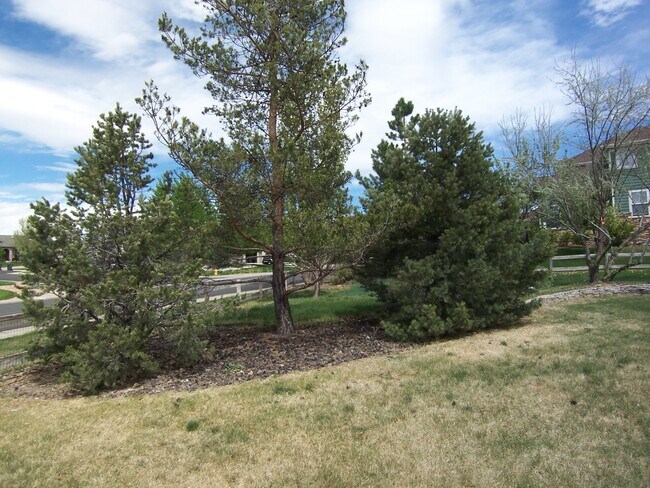 Building Photo - 7201 Dove Ct