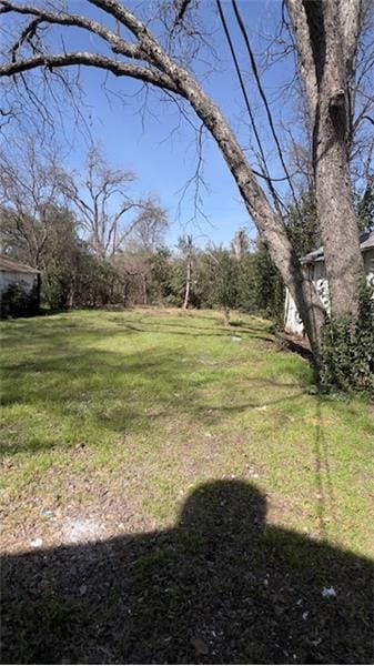 Building Photo - 1613 Live Oak Ave