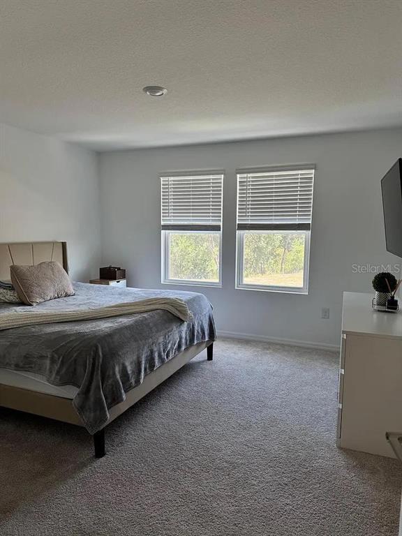 Building Photo - 1572 Swan Swim Dr