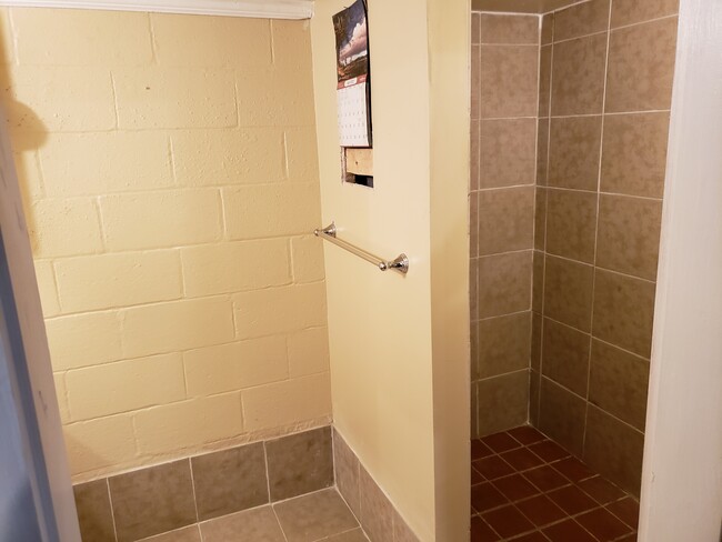 Basement Shower / Bathroom. - 358 Wehrle Dr