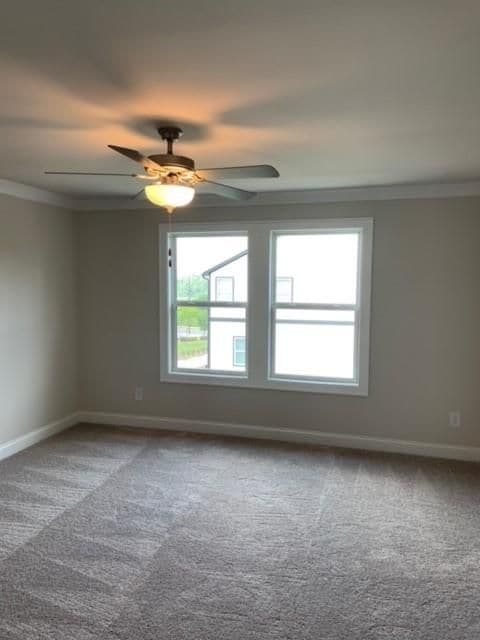 Building Photo - 908 Sweetwater Grove