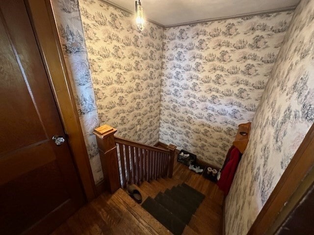 Building Photo - 68 Conz St