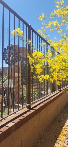 Shade tree behind pergola - 2192 W Sierra Sunset Trl