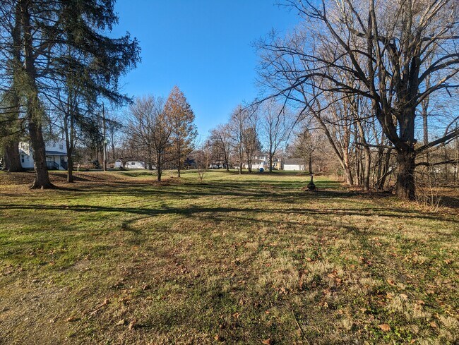 Back Yard - 9 Church St