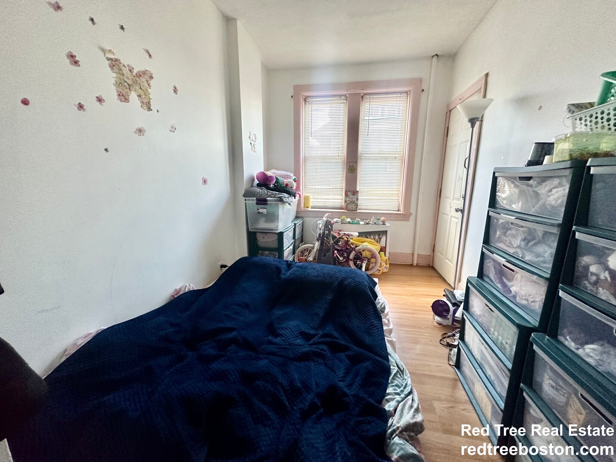 Building Photo - 56 Park Vale Ave