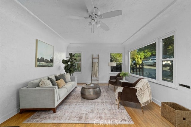 Building Photo - 1119 Princeton Dr