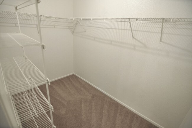 Building Photo - 10616 Mellow Meadow Dr