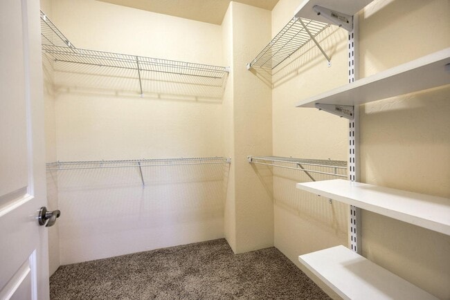 Building Photo - 1512-1514 Hartell Street - 1514 Hartell