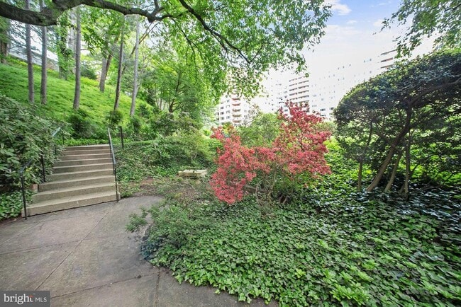 Building Photo - 4201 Cathedral Ave NW