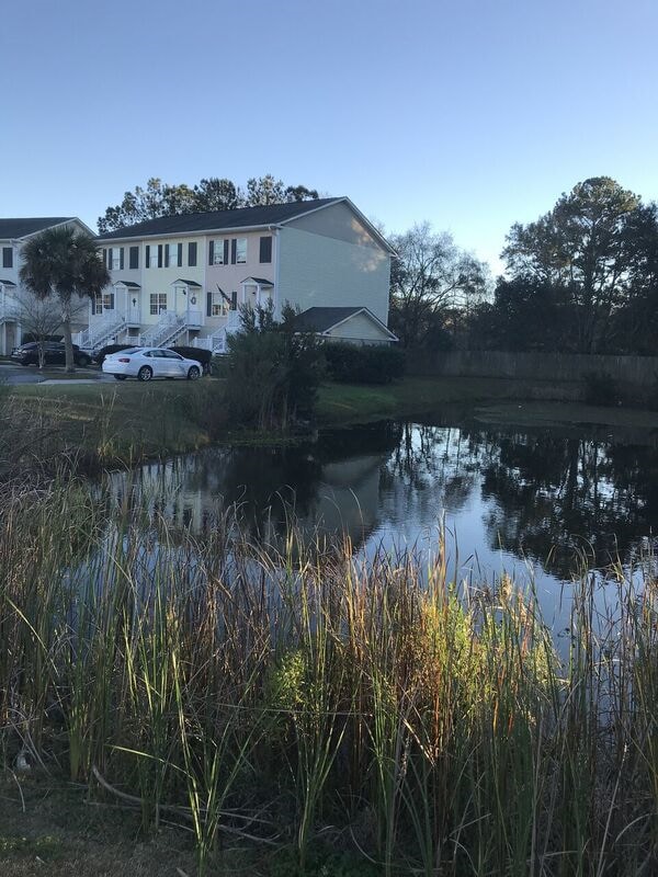 Building Photo - 368 Laurel Oak Ln