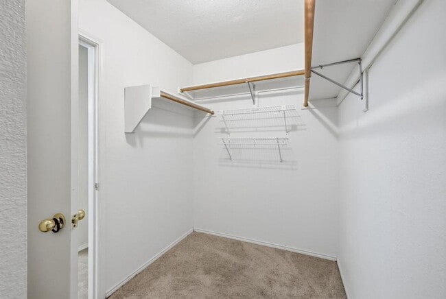 Building Photo - 100 Oak Hollow Ln