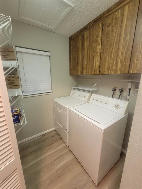Building Photo - 1305 Calamondin Dr