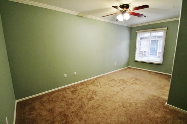 Building Photo - 1319 S Sabino Dr