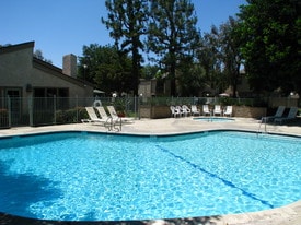 Sparkling Pool - Springtree Apartments