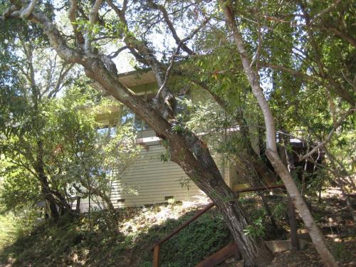 Building Photo - 98 Briar Rd