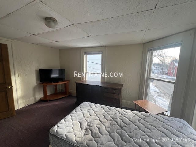 Building Photo - 133 Essex St