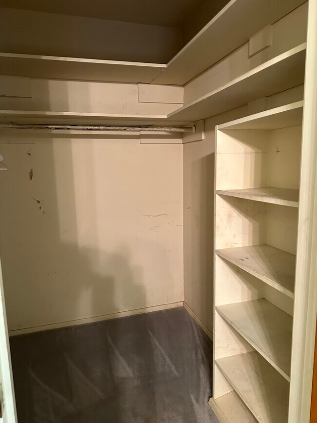 1 of 3 large walk in closets - 510 Wilmuth St