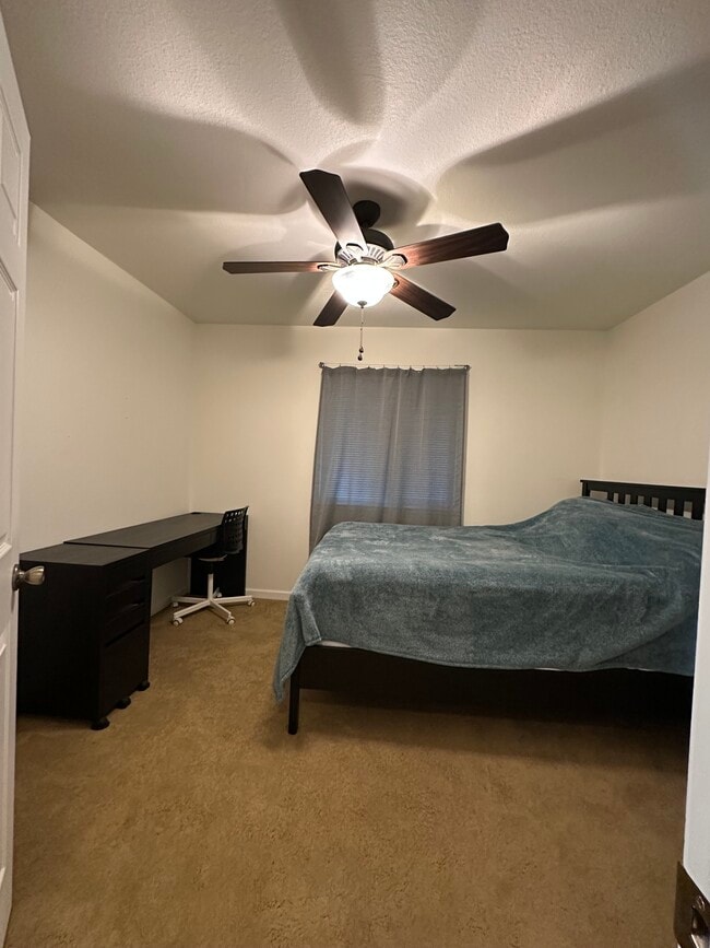 Building Photo - 2209 El Cejo Cir