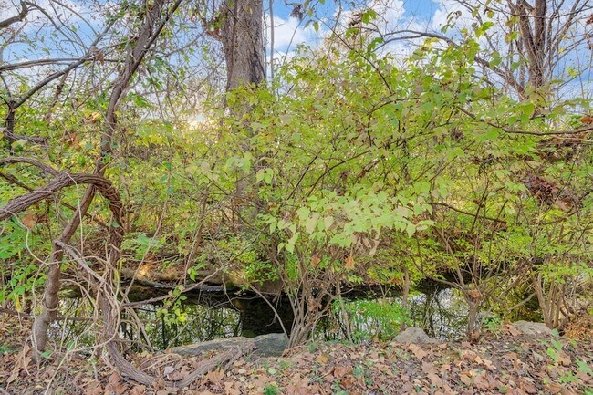 Building Photo - 115 Noel Cove Cir