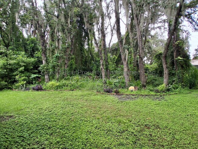 Building Photo - 12928 Terrace Springs Dr