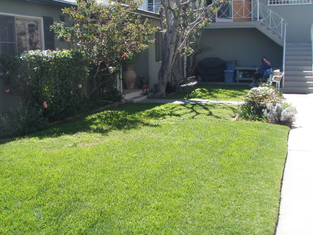 middle yard area- common spsace - 2210 24th St