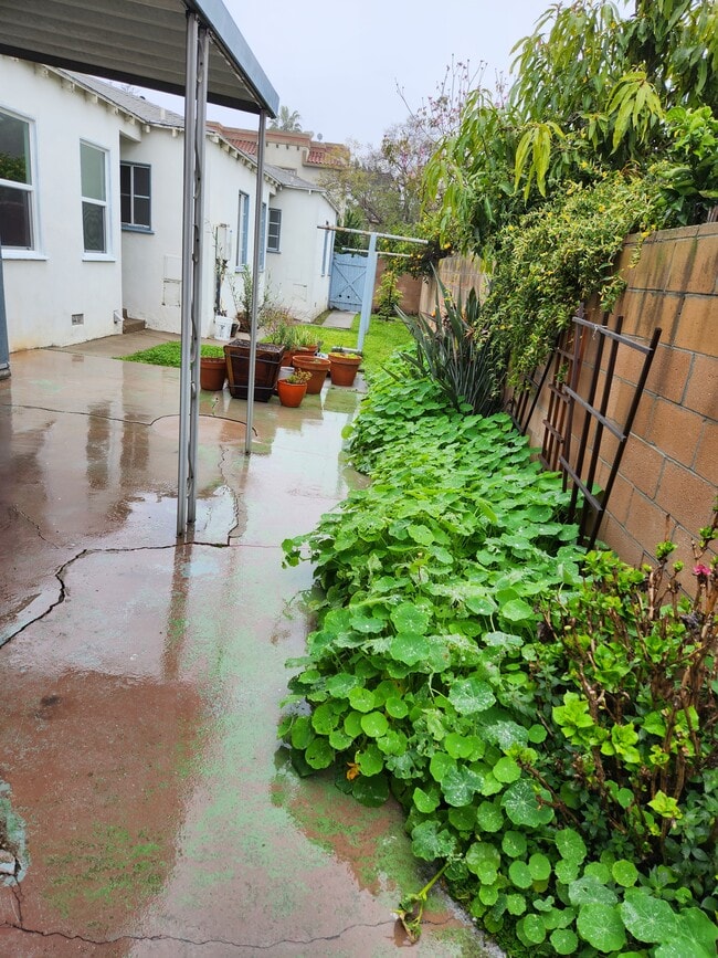 Building Photo - 12019 Ocean Park Blvd