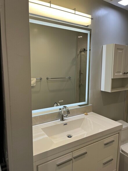 new bathroom sink, vanity and LED mirror - 1828 Camden Ave