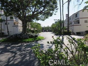 Building Photo - 2931 Plaza Del Amo Plz