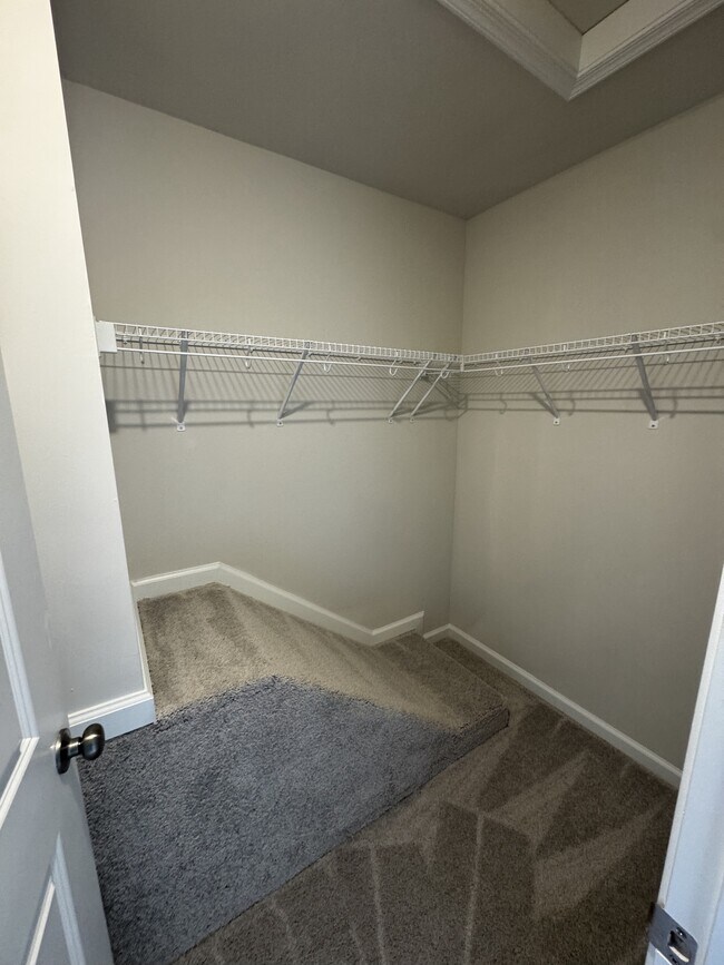 Building Photo - 109 Brashear Ct