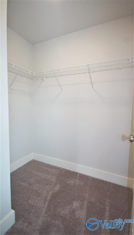 Building Photo - 12 Silky Oak Cir SW